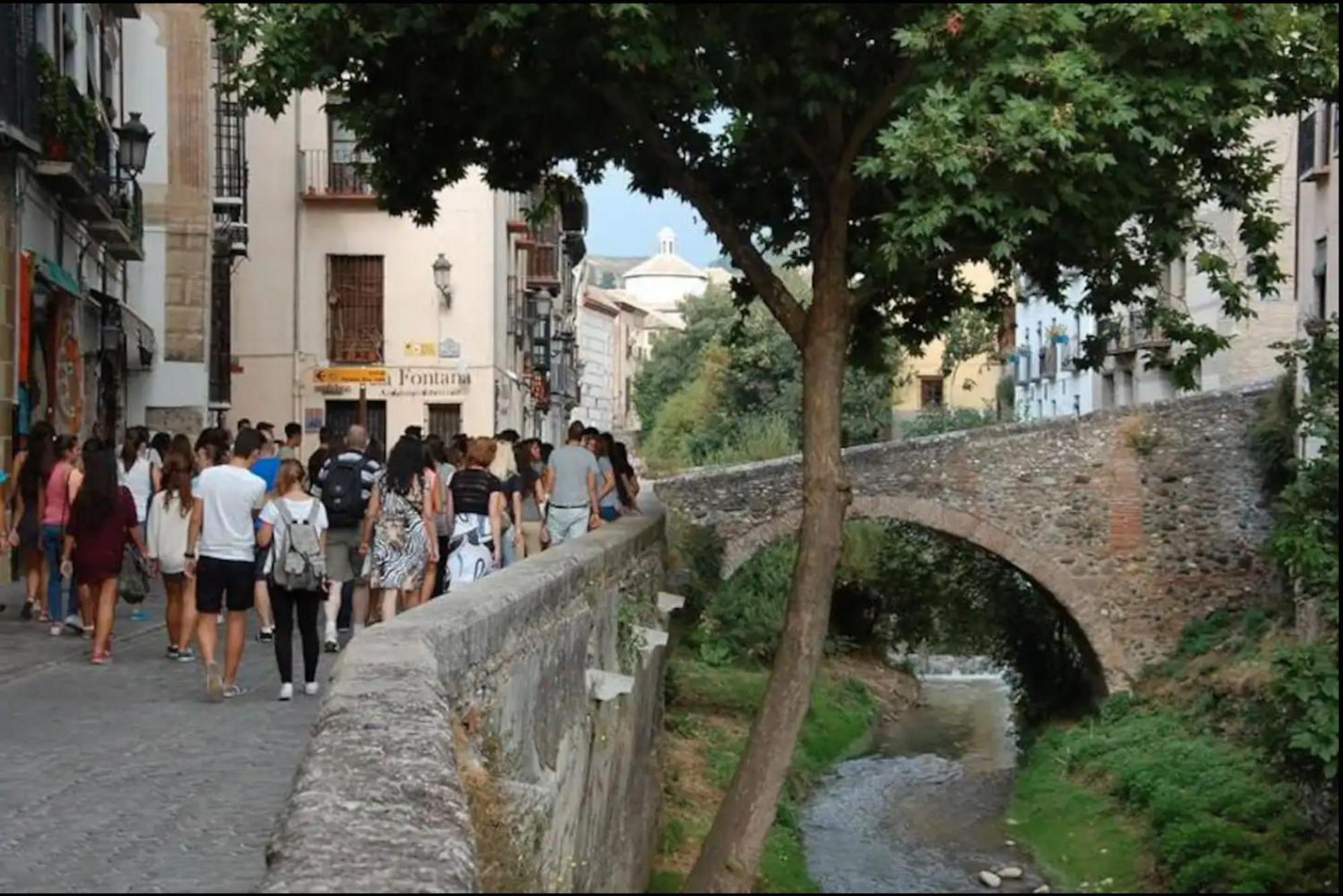 Apartamentos Centro Historico A Los Pies De La Alhambra Granada Exteriör bild